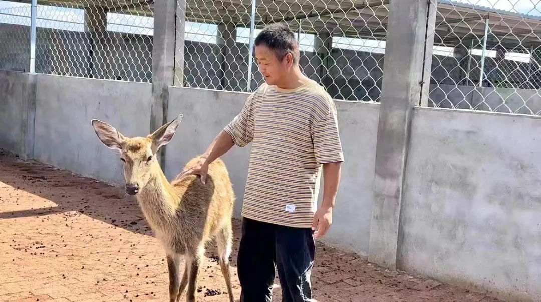金沙菜市场